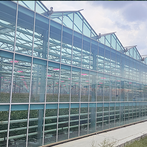 Staklenik za poljoprivredno staklo