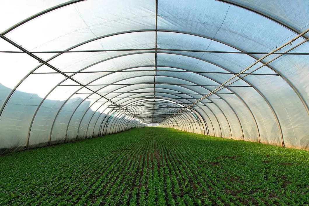 Greenhouses Film